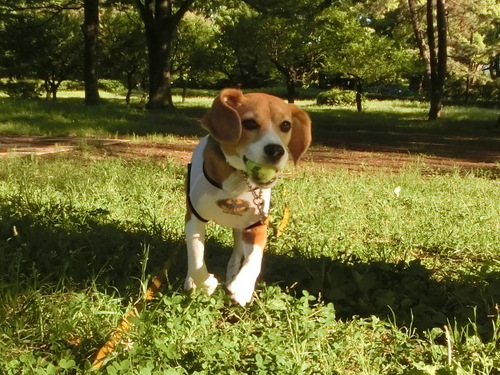 a0319693_1574327.jpg