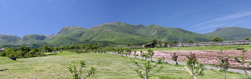 a0222494_17501660.jpg