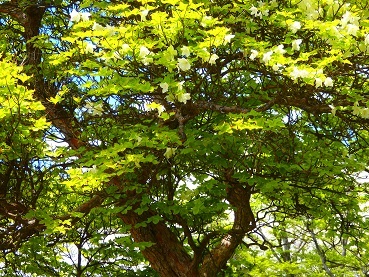 b0061798_21161673.jpg