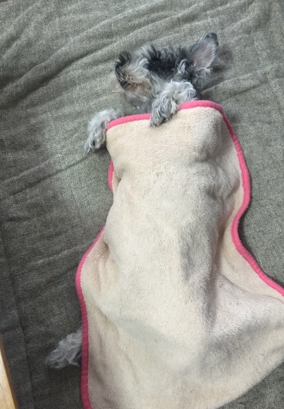 b0188998_22490383.jpeg