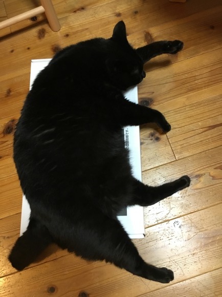 c0011300_21063194.jpeg