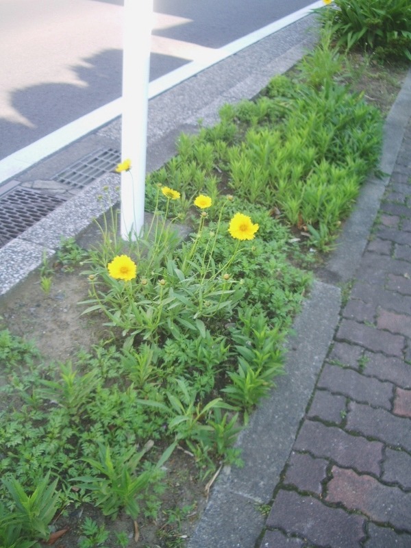 e0025300_18443095.jpg