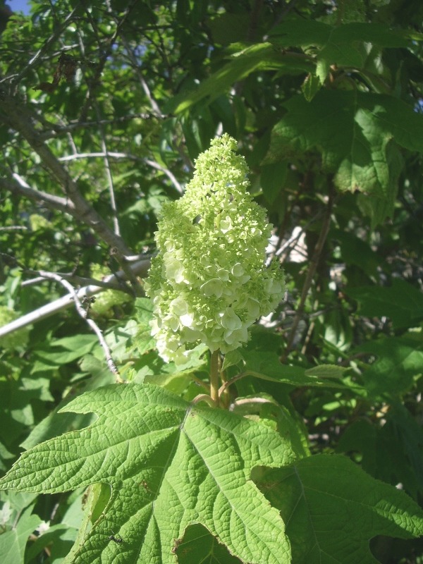 e0025300_18461927.jpg