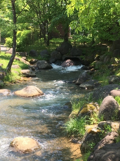 d0172702_16160461.jpg