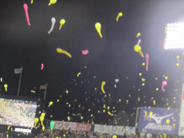 a0100706_7263169.jpg