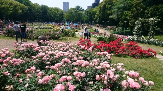b0009106_19115221.jpg