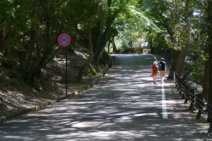 a0335421_08343406.jpg