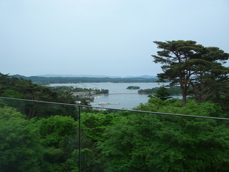 d0250123_21405519.jpg