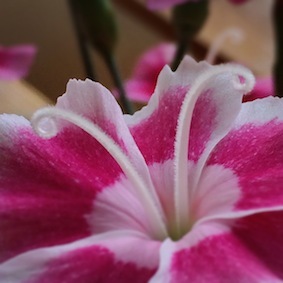 f0309325_07450914.jpg