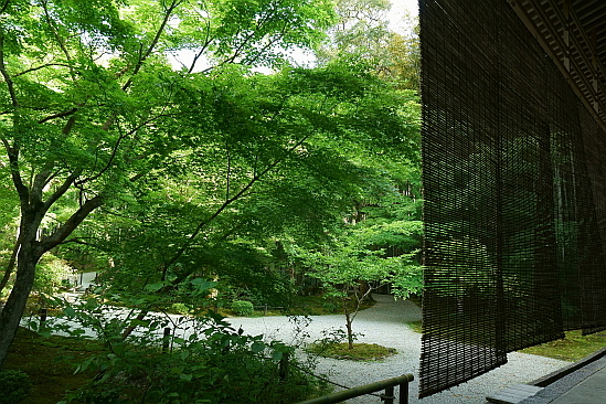 f0037227_19532813.jpg