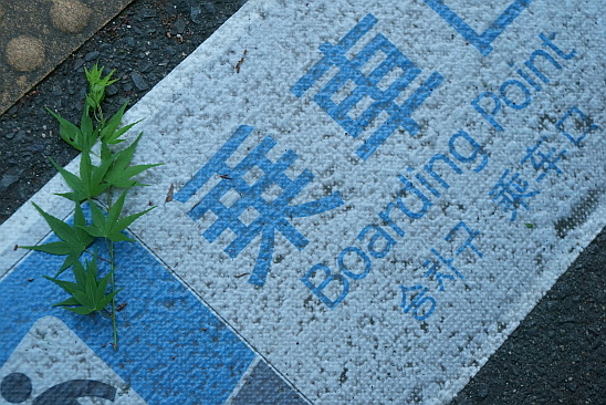 f0037227_19542817.jpg