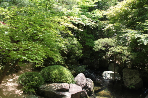 e0166032_23125240.jpg