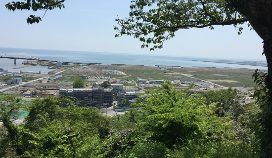 d0164636_833579.jpg