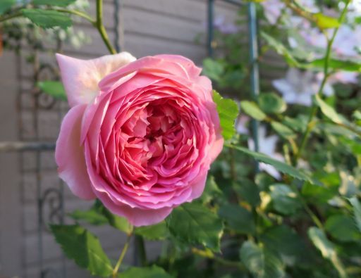 b0178339_00140441.jpg