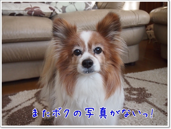 d0013149_00475279.jpg