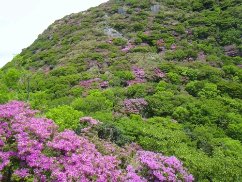 c0179351_21250523.jpg