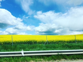 c0240152_15561478.jpg