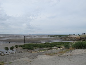 b0090654_055551.jpg