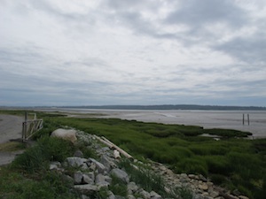b0090654_056634.jpg