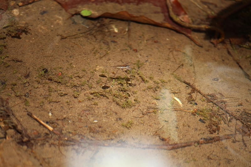 b0250154_21482859.jpg