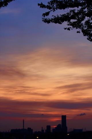a0248459_16113852.jpg