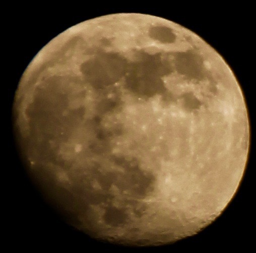 a0248459_16385659.jpg