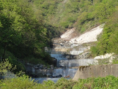 d0029363_7224787.jpg