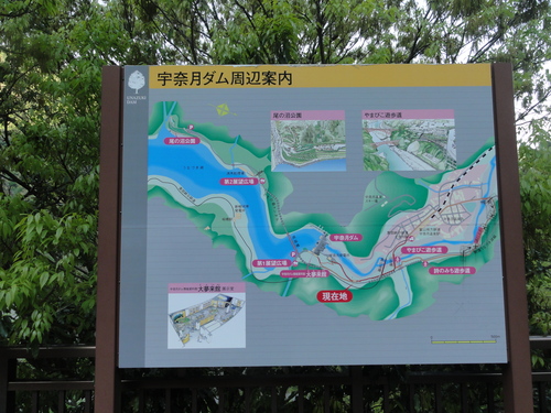 d0029363_7235632.jpg