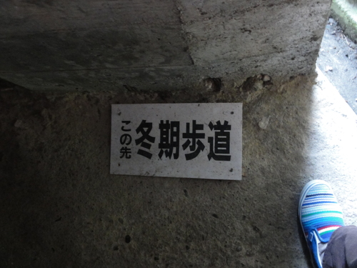 d0029363_725379.jpg