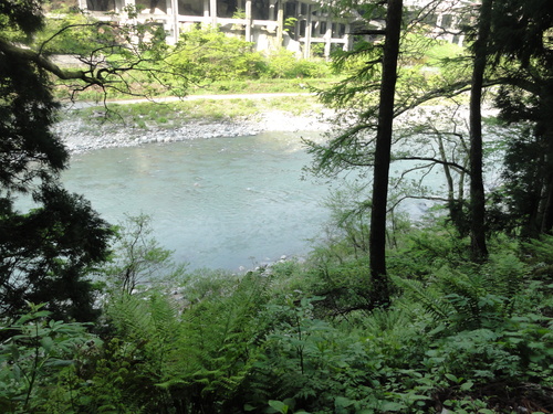d0029363_743309.jpg