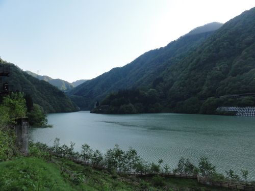 d0029363_8878.jpg