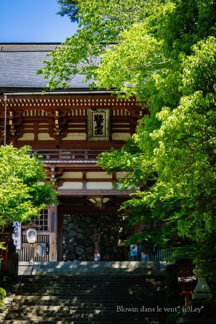 f0251765_14520116.jpg