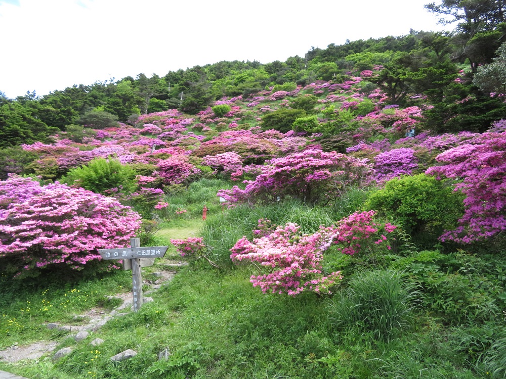 c0042869_71413.jpg
