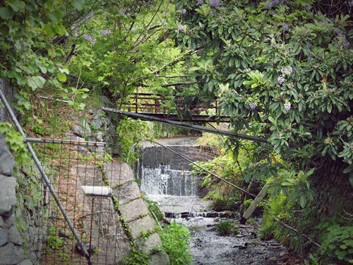 e0264374_12542076.jpg