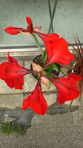f0152875_08131675.jpg