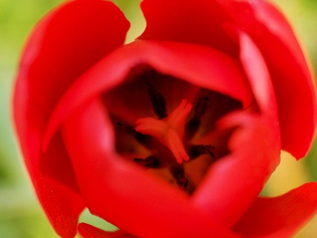 c0183777_19351628.jpg