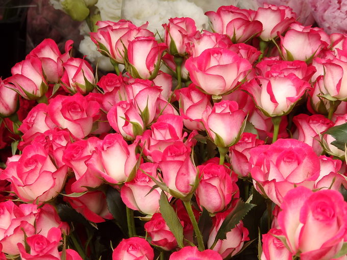 b0197486_17273610.jpg