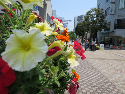 c0212604_16295956.jpg