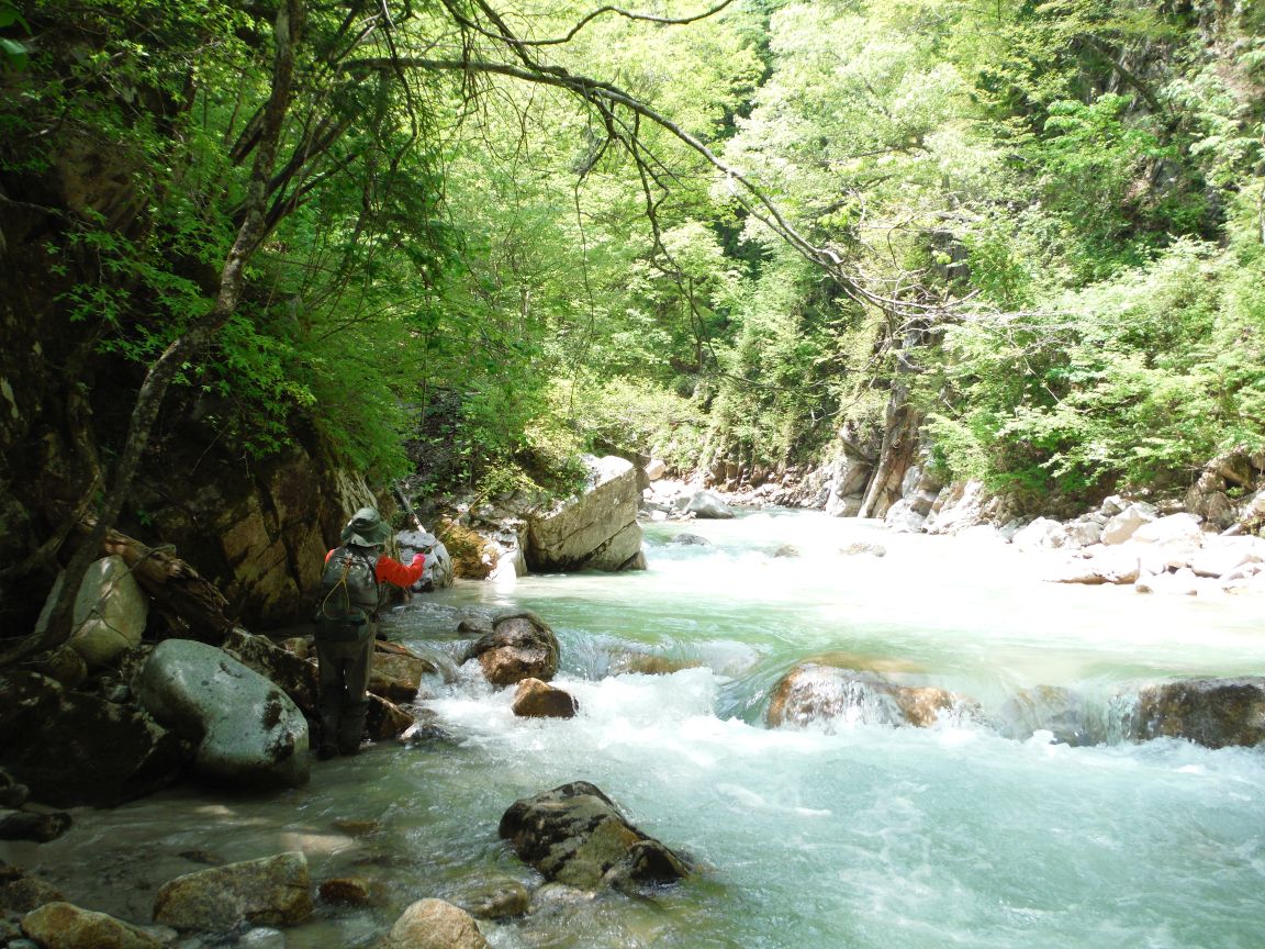 b0172805_1126827.jpg