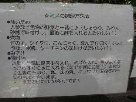 b0017215_18201031.gif
