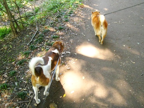 c0084117_2021584.jpg
