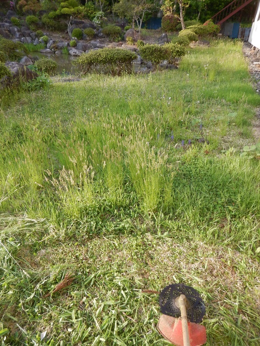 c0111229_18352940.jpg