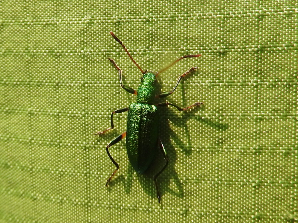 f0118332_11023880.jpg