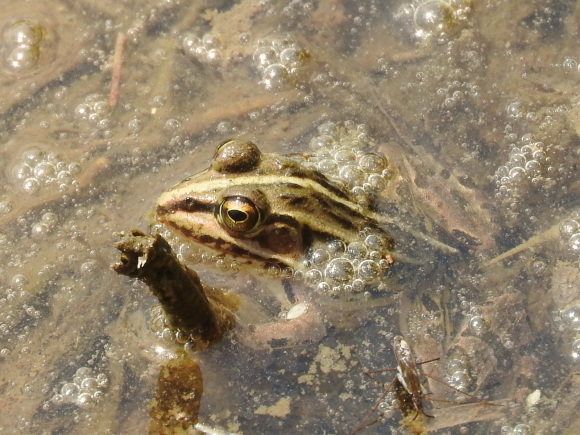 f0118332_11030111.jpg