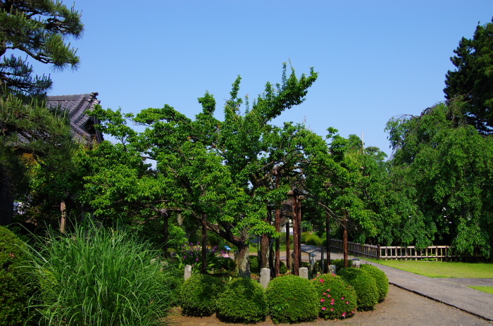 e0262946_20272299.jpg