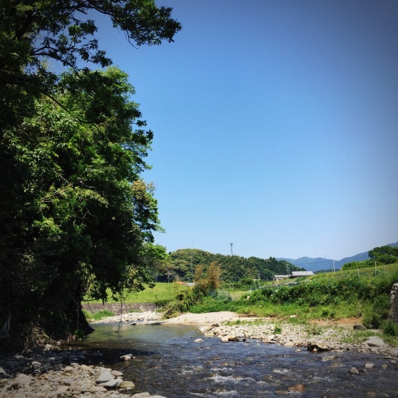 c0312349_18134799.jpeg