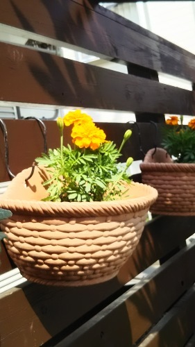 f0310557_15371270.jpg