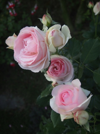 b0246758_21430486.jpg