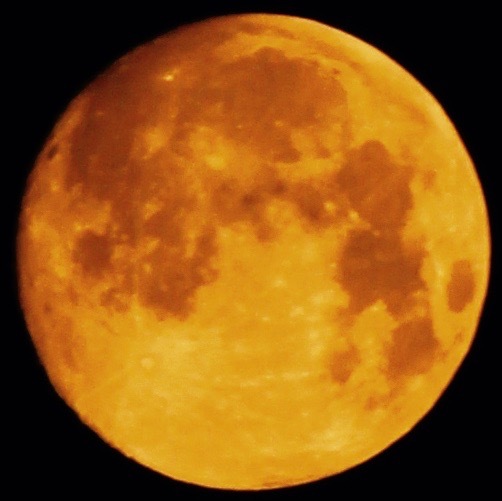 a0248459_16014975.jpg