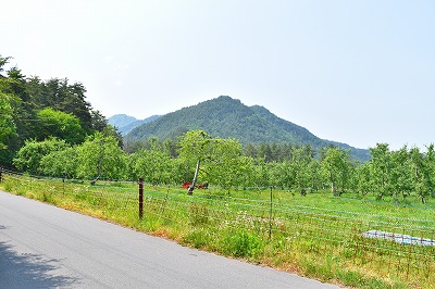 e0001860_1704520.jpg